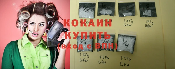 бошки Вязьма